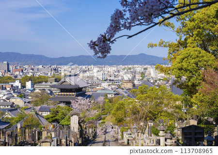 Spring in Kyoto: Konkai-Komyoji Temple - Cherry blossoms and the temple gate overlooked from the Monju Tower 113708965