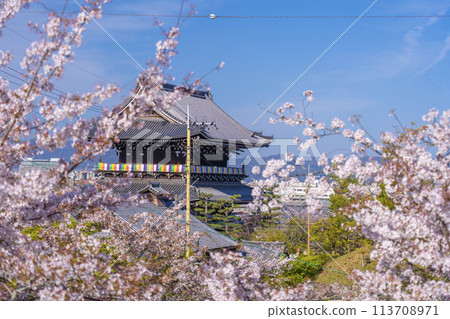春天的京都、Konkai Komyoji Temple、櫻花和從文殊塔看到的三門 春天的京都、Konkai Komyoji Temple、櫻花和從文殊塔看到的三門 113708971