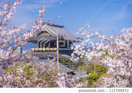 春天的京都、Konkai Komyoji Temple、櫻花和從文殊塔看到的三門 113708972