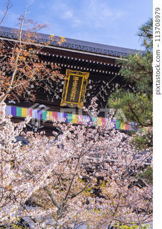 京都、黑谷、孔海光明寺、三門和盛開的櫻花 京都、黑谷、孔海光明寺、三門和盛開的櫻花 113708979
