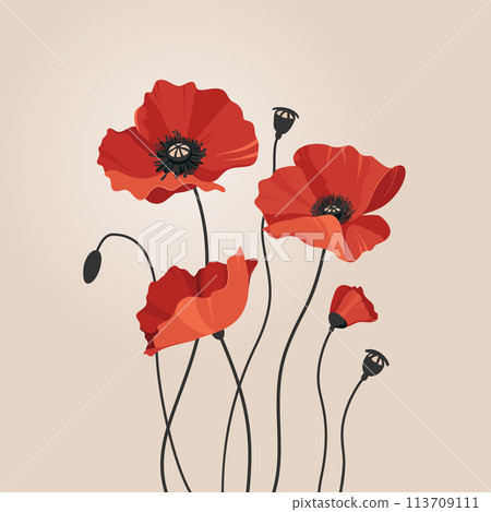 Group of red flowers on beige background. Red poppies are a symbol of memory and sorrow. Vector illustration. 113709111