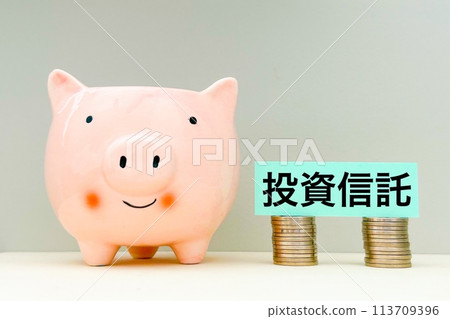 Investment trust and piggy bank Investment trust and piggy bank 113709396