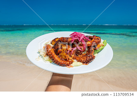 Grilled octopus plate in a caribbean beach 113709534