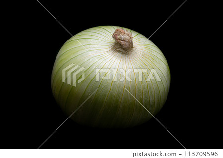 Close up of an unpeeled onion 113709596