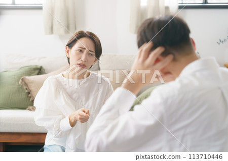 Couple arguing in the living room Couple arguing in the living room 113710446