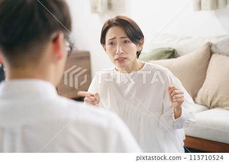 Couple arguing in the living room Couple arguing in the living room 113710524