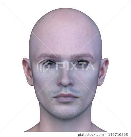 Close-up of a man's face 113710568