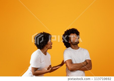 Emotional young african american woman talking to her offended husband Emotional young african american woman talking to her offended husband 113710692