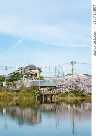須麻寺公園的池塘 須麻寺公園的池塘 113710804