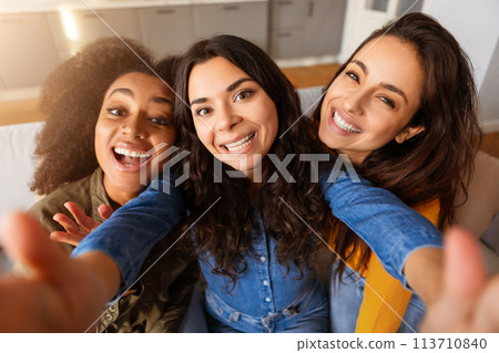 Selfie of friends with joyous expressions at home 113710840