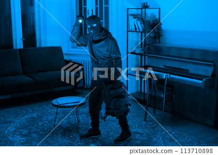 Silhouette of a thief in a lit room Silhouette of a thief in a lit room 113710898