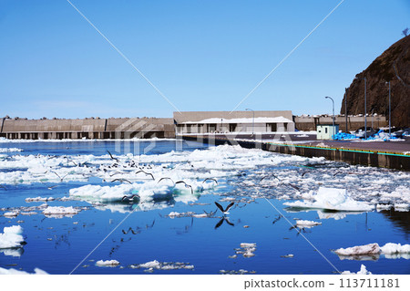 Spring fishing port with seagulls flying around Hokkaido Spring fishing port with seagulls flying around Hokkaido 113711181