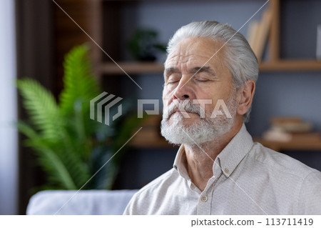 A serene portrait of a grey-haired senior man meditating with closed eyes, sitting comfortably in his well-decorated living room with vibrant green plants. A serene portrait of a grey-haired senior man meditating with closed eyes, sitting comfortably in his well-decorated living room with vibrant green plants. 113711419
