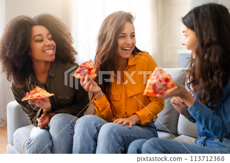 Multiracial friends enjoying pizza together at home 113712368