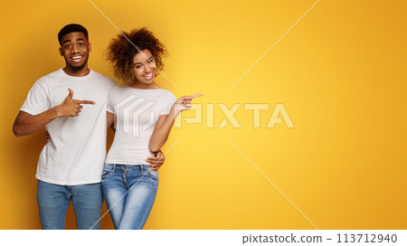 African-american man and woman point at empty space African-american man and woman point at empty space 113712940