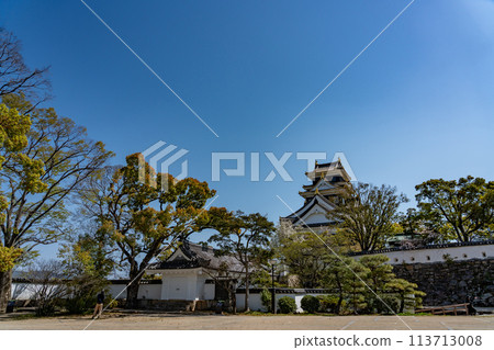 Okayama Prefecture: Spring at Okayama Castle's corridor gate and castle tower 113713008