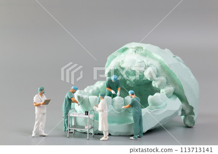 Miniature people ,A dentist displaying dental models and plaster orthodontic models 113713141