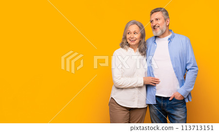 Happy senior couple hugging looking aside at empty space, studio 113713151