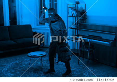Person in hoodie exploring a blue-lit room Person in hoodie exploring a blue-lit room 113713206