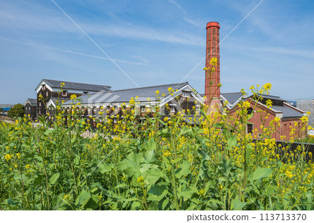 京都伏見油菜花及清酒釀酒廠 京都伏見油菜花及清酒釀酒廠 113713370