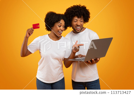 Happy african american couple using laptop and credit card Happy african american couple using laptop and credit card 113713427