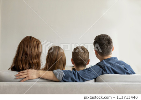 Family sitting together on a couch, rear view 113713440