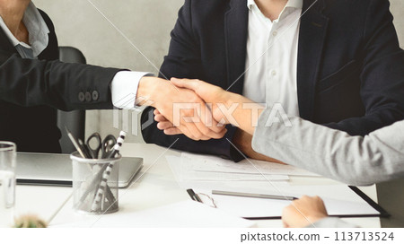 Professional handshake in an office setting Professional handshake in an office setting 113713524