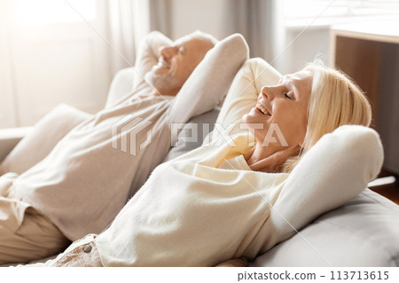 Relaxed couple enjoying a cozy day at home Relaxed couple enjoying a cozy day at home 113713615