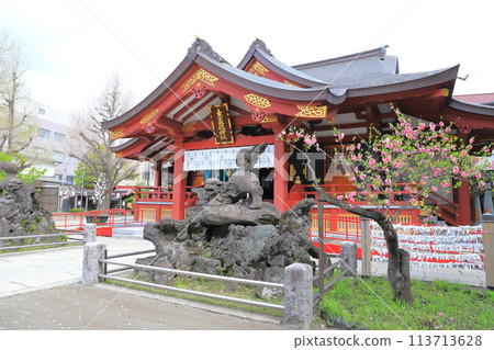 須佐野神社 (Susano Ojinja) 盛開的桃花和神社建築 須佐野神社 (Susano Ojinja) 盛開的桃花和神社建築 113713628