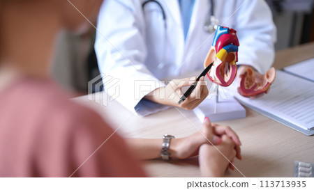 Asian cardiologist doctor women pointing on anatomical of human heart model to explaining medical data and giving counseling mental health therapy to female patient after examining health in clinic 113713935