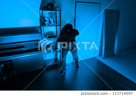 Silent thief in a room ready to steal 113714097