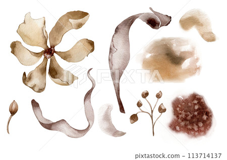 Flower and plants in monochrome watercolor set. Abstract flowers and leaves in sepia color isolated on white. Brown background. Suitable for the design of wedding cards, invitations, printed products Flower and plants in monochrome watercolor set. Abstract flowers and leaves in sepia color isolated on white. Brown background. Suitable for the design of wedding cards, invitations, printed products 113714137
