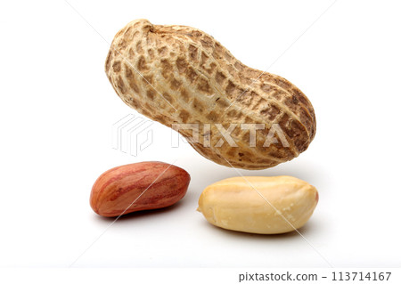 peanuts peanuts 113714167