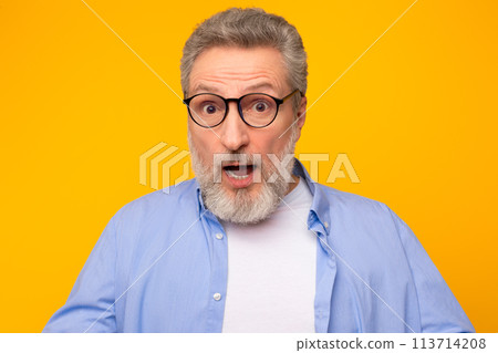 Portrait of shocked emotional senior man with gray hair, studio Portrait of shocked emotional senior man with gray hair, studio 113714208