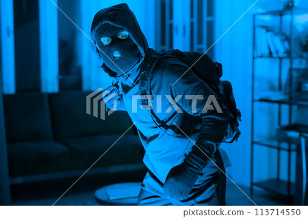 Burglar in mask sneaking inside a house 113714550