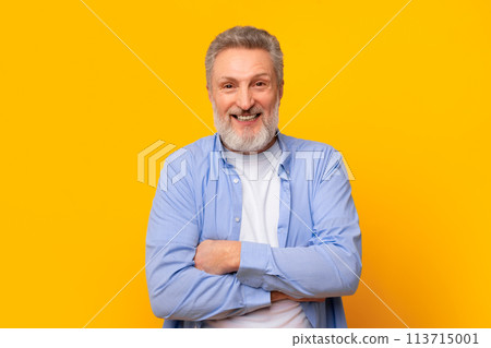 Portrait of happy mature European man with gray beard, studio 113715001