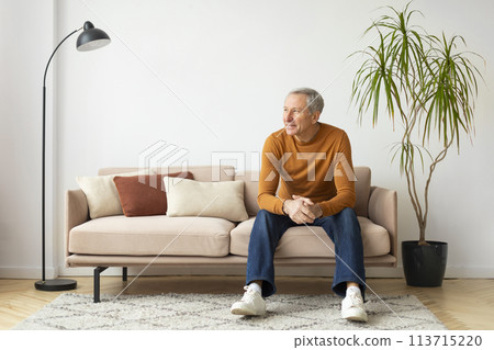 Man sitting on sofa in a cozy living room Man sitting on sofa in a cozy living room 113715220