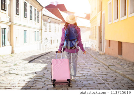 Lady with suitcase enjoying european scenery, back view Lady with suitcase enjoying european scenery, back view 113715619