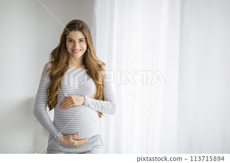 Smiling pregnant woman standing by a window 113715894