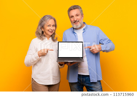 Happy senior couple showing laptop blank screen pointing fingers, studio 113715960
