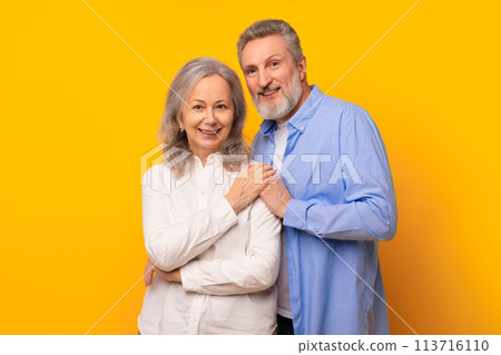 Affectionate happy senior couple embracing tenderly against yellow studio backdrop Affectionate happy senior couple embracing tenderly against yellow studio backdrop 113716110