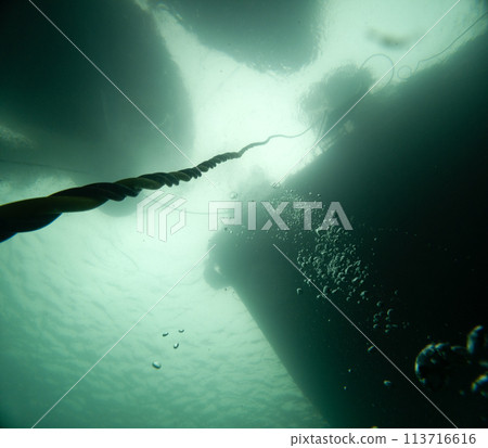 Umbilical leading to the surface from underwater Umbilical leading to the surface from underwater 113716616