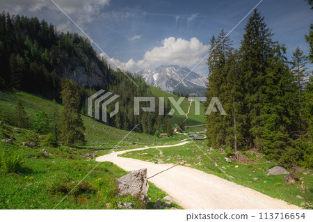 Mountain valley with tracks near Jenner mount in Berchtesgaden National Park Mountain valley with tracks near Jenner mount in Berchtesgaden National Park 113716654