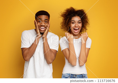 Joyful millennial african american couple rejoice success Joyful millennial african american couple rejoice success 113716676
