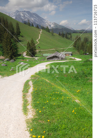 Mountain valley with tracks near Jenner mount in Berchtesgaden National Park 113716715