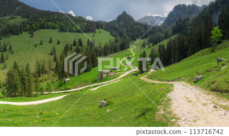 Alpine meadow with cows and rustic houses in Berchtesgaden National Park Alpine meadow with cows and rustic houses in Berchtesgaden National Park 113716742