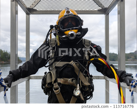 Professional diver ready to enter water 113716776