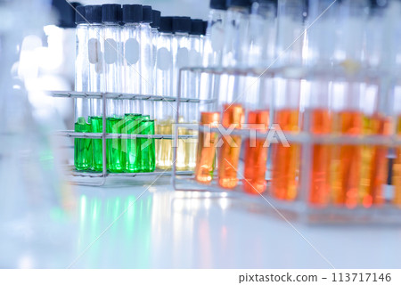 Rows of laboratory test tubes. Scientific glassware for chemical, Laboratory research background. Rows of laboratory test tubes. Scientific glassware for chemical, Laboratory research background. 113717146