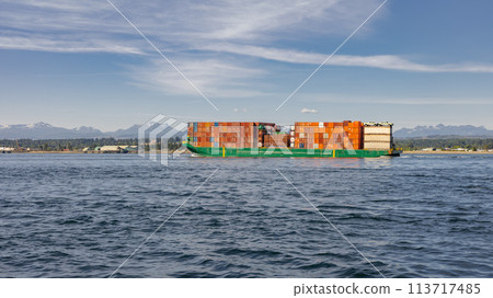 Large Cargo ship carrying industrial containers on the sea Large Cargo ship carrying industrial containers on the sea 113717485
