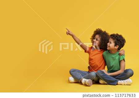 Siblings sitting and looking at a distance 113717633